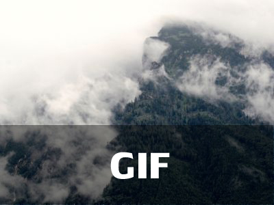 GIF